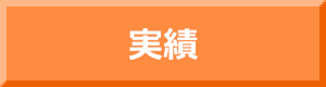 実績